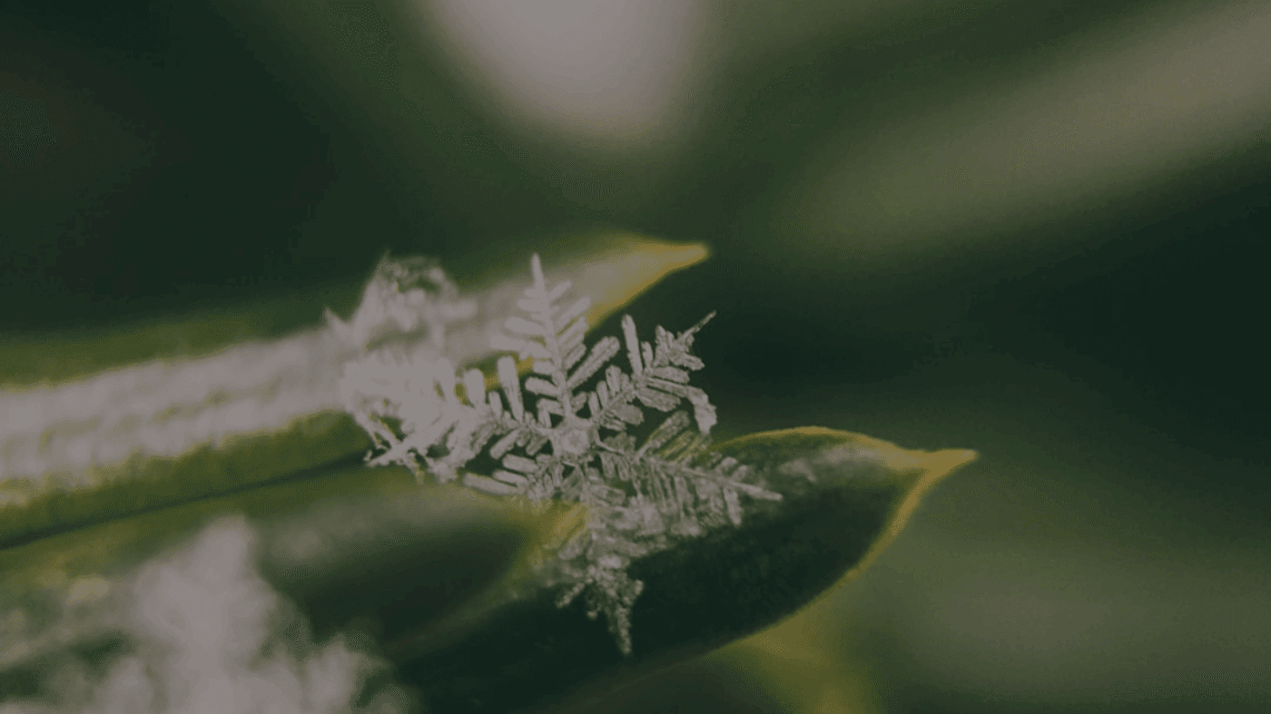 创作者指南：免版税与商用范围